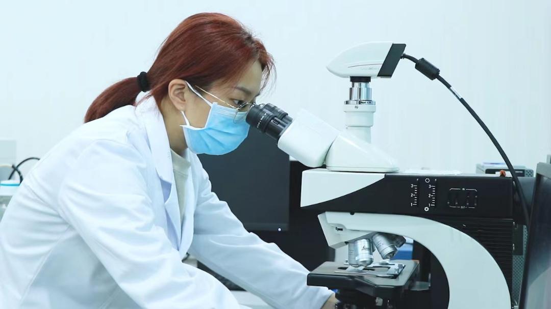 加大对老字号商标、品牌以及传统工艺的知识产权保护力度；分批次挖掘具有突出临床价值的中成药潜力品种