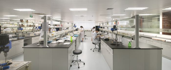 它不仅不会因为时间的推移而褪色